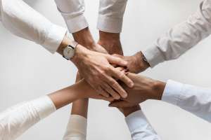 Tips and Strategies for Success Tips and Strategies for Success