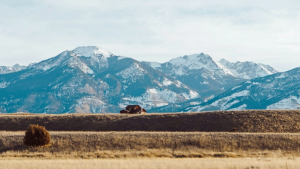 Strategic Insights for Launching a Business in Montana Strategic Insights for Launching a Business in Montana